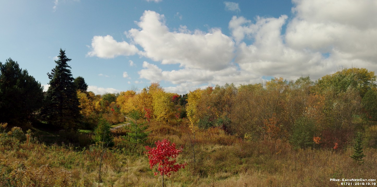 61721PaCrLeRe - Miller's Creek, from Westney Road